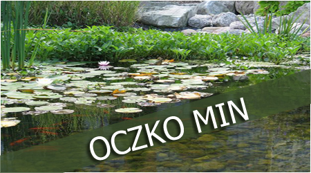 oczko min